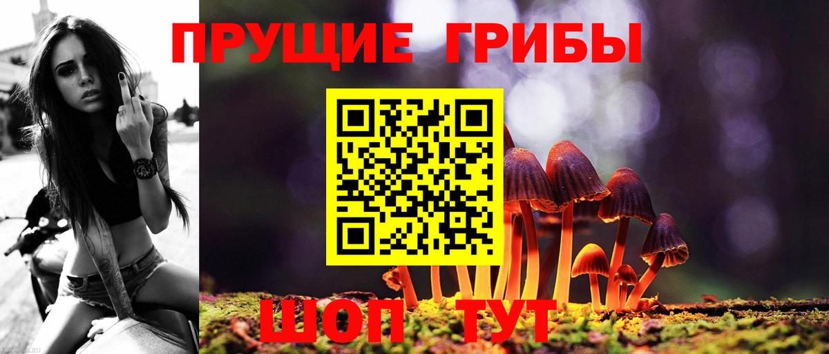 Псилоцибиновые грибы мицелий Реж